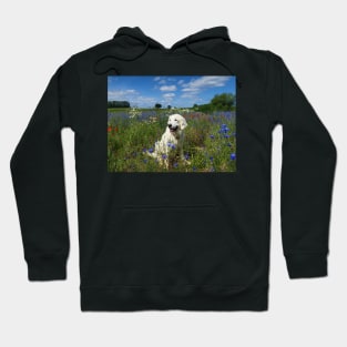 Ditte in a field of wild flowers Hoodie